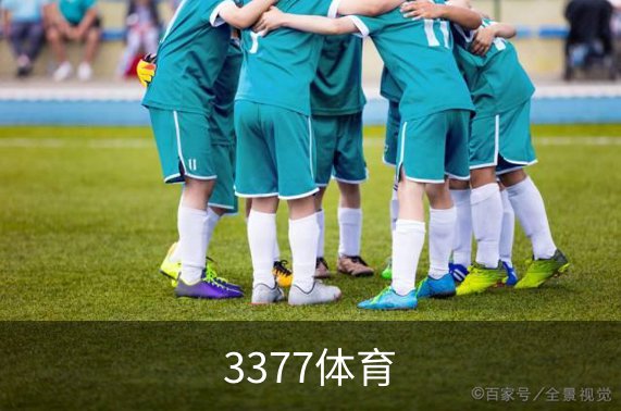 3377体育概况